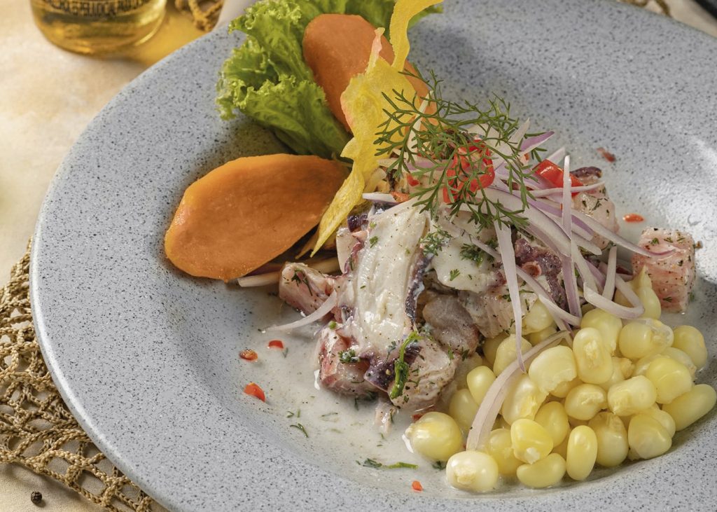 Ceviche Peruano Destination Andes